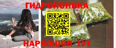ГАЛЛЮЦИНОГЕННЫЕ ГРИБЫ Обнинск