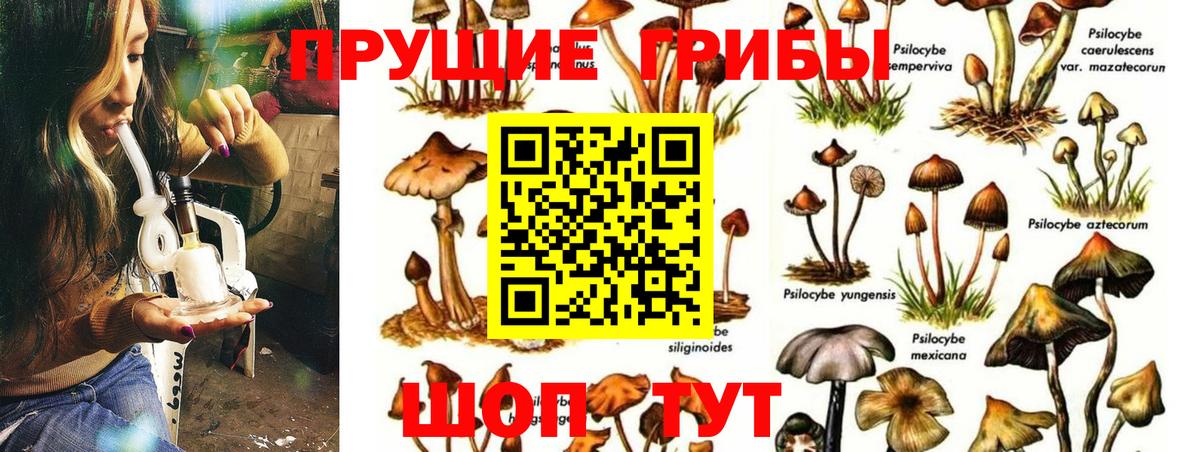 Псилоцибиновые грибы ЛСД  Вход с VPN  Сердобск 